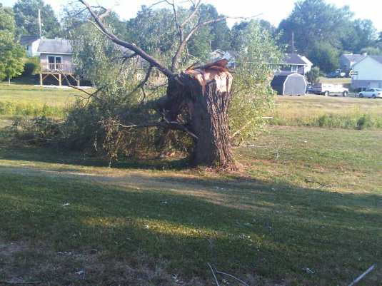 ~10' circ.*Tree* of W!CKedW!ND»»ch¤pped•d¤wn»at Strongest Point! on 6/29 8 pm \r.i.p./ my friend :(
